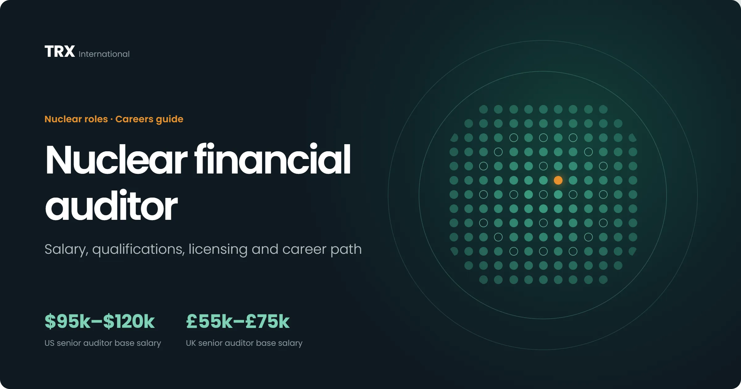 Current Nuclear Financial Auditor Vacancies